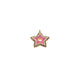 PINK STAR CHARM.