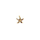 LUXURY STARFISH CHARM.