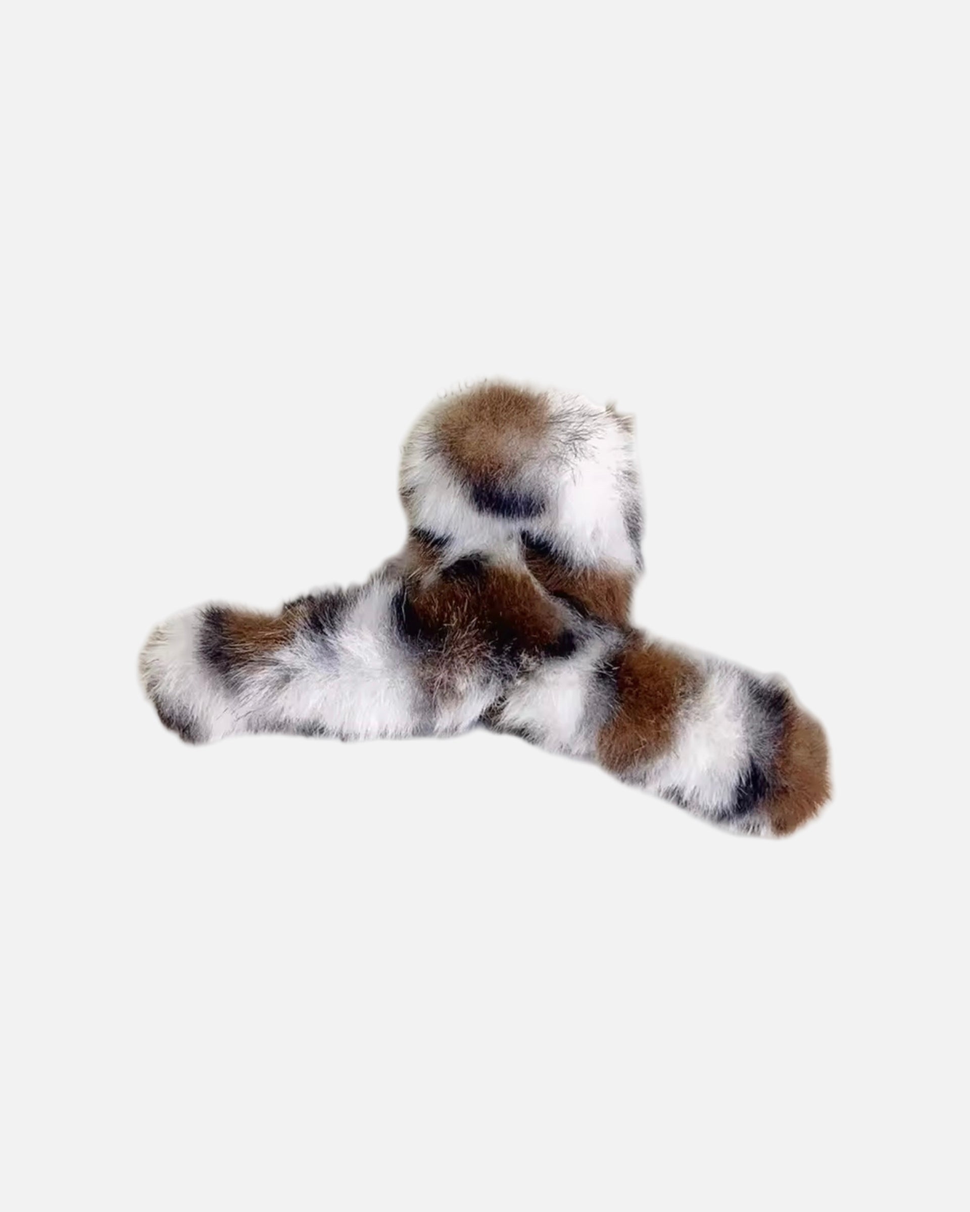 HAARSPANGE FLUFFY LEO.