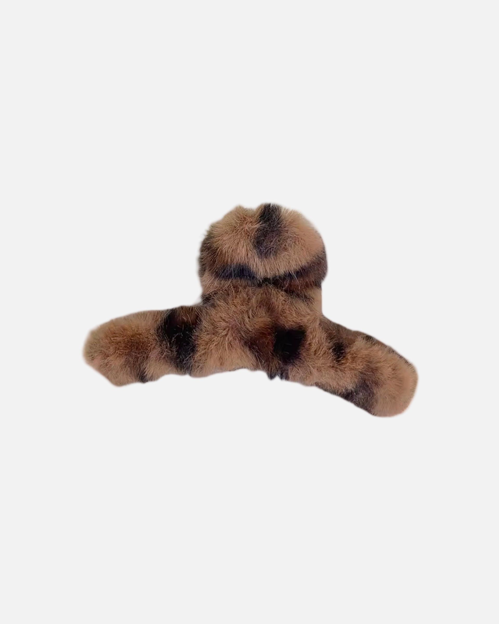 HAARSPANGE FLUFFY LEO.