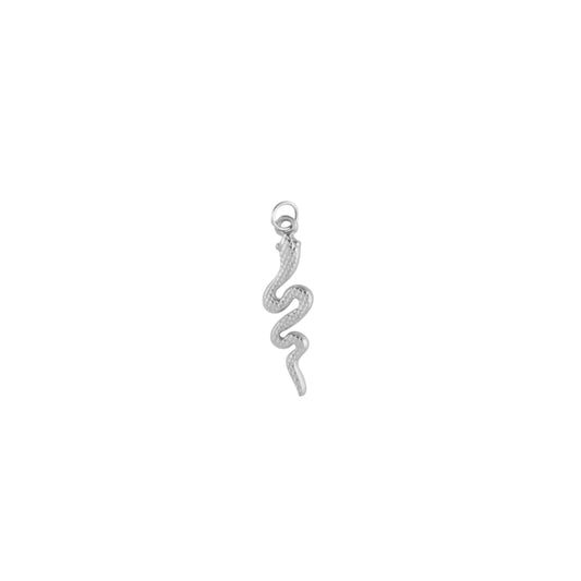 SILVER SERPENT CHARM.