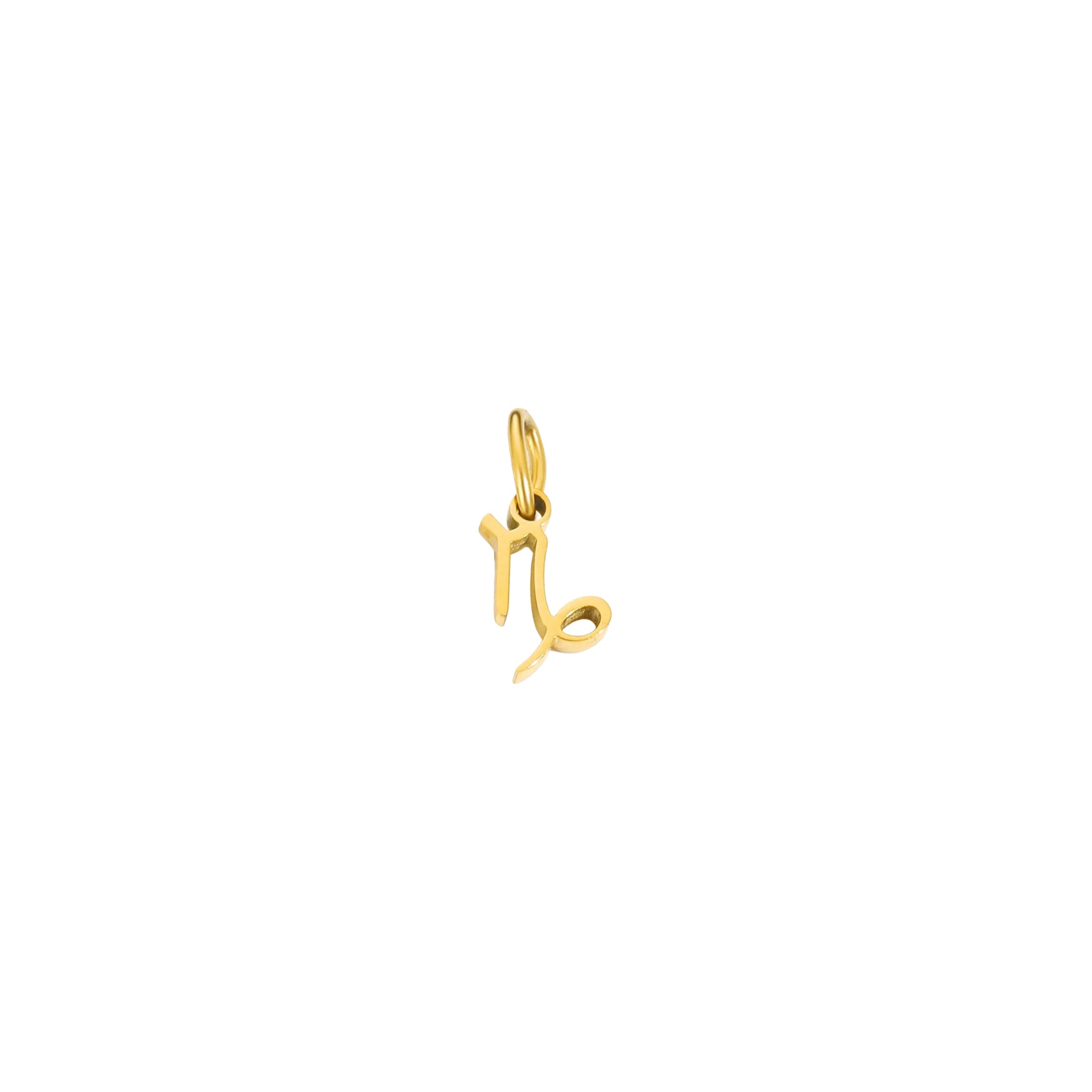 Golden Zodiac Charm