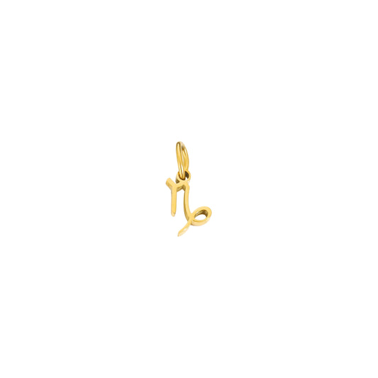 Golden Zodiac Charm
