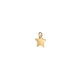GOLDEN STAR CHARM.