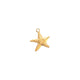 SWIRL STAR CHARM.