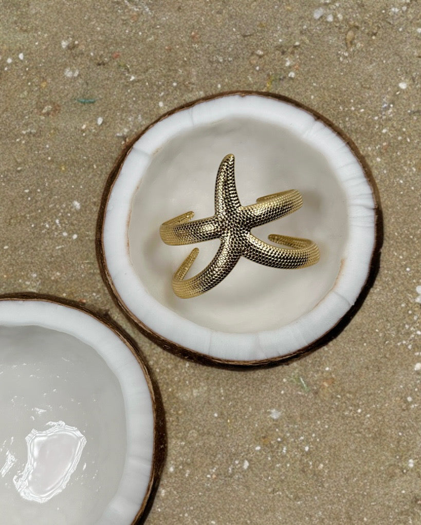 ARMREIF STARFISH.