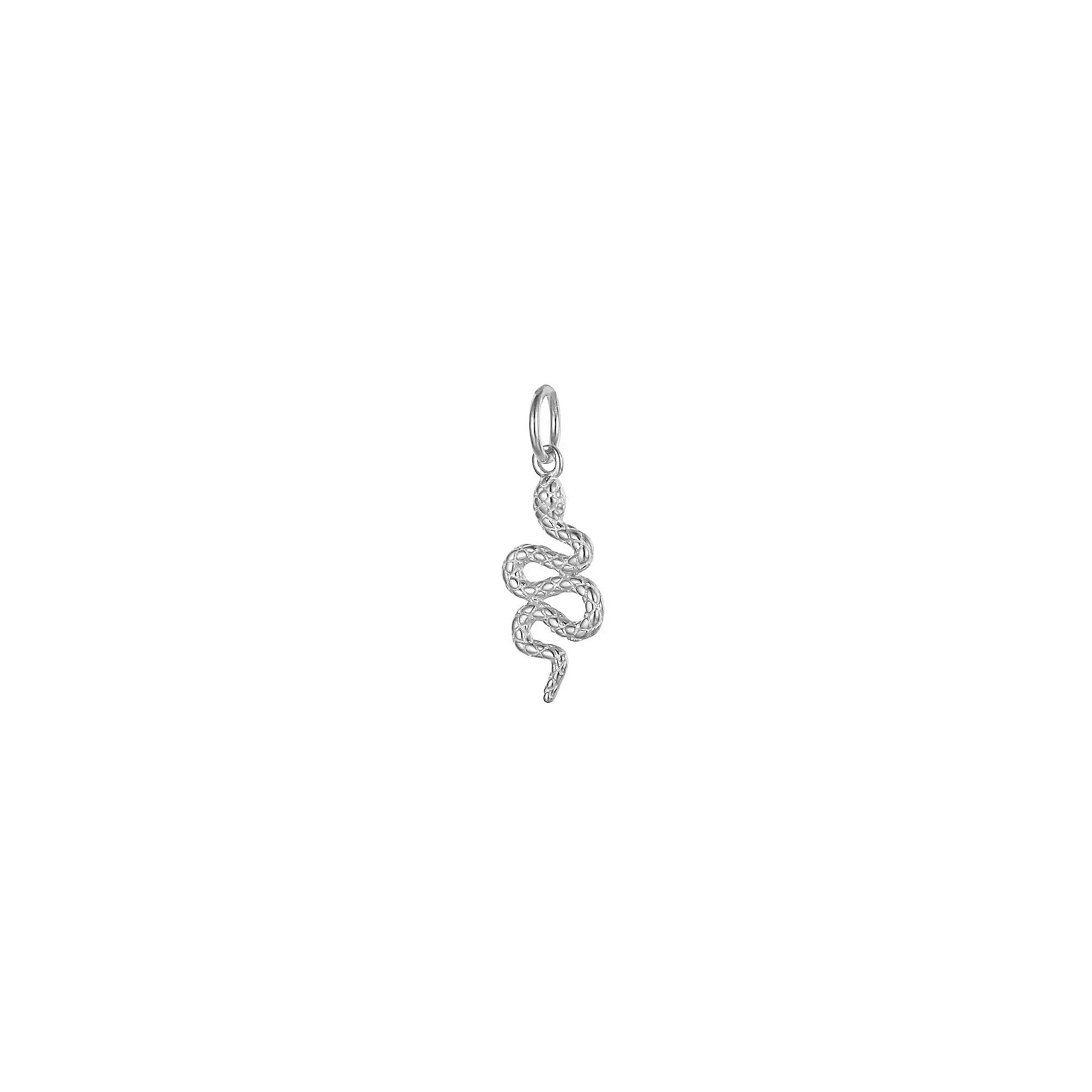 SILVER SNAKE CHARM.