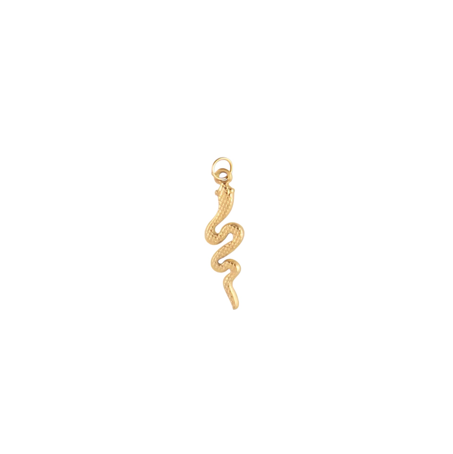 GOLDEN SERPENT CHARM.