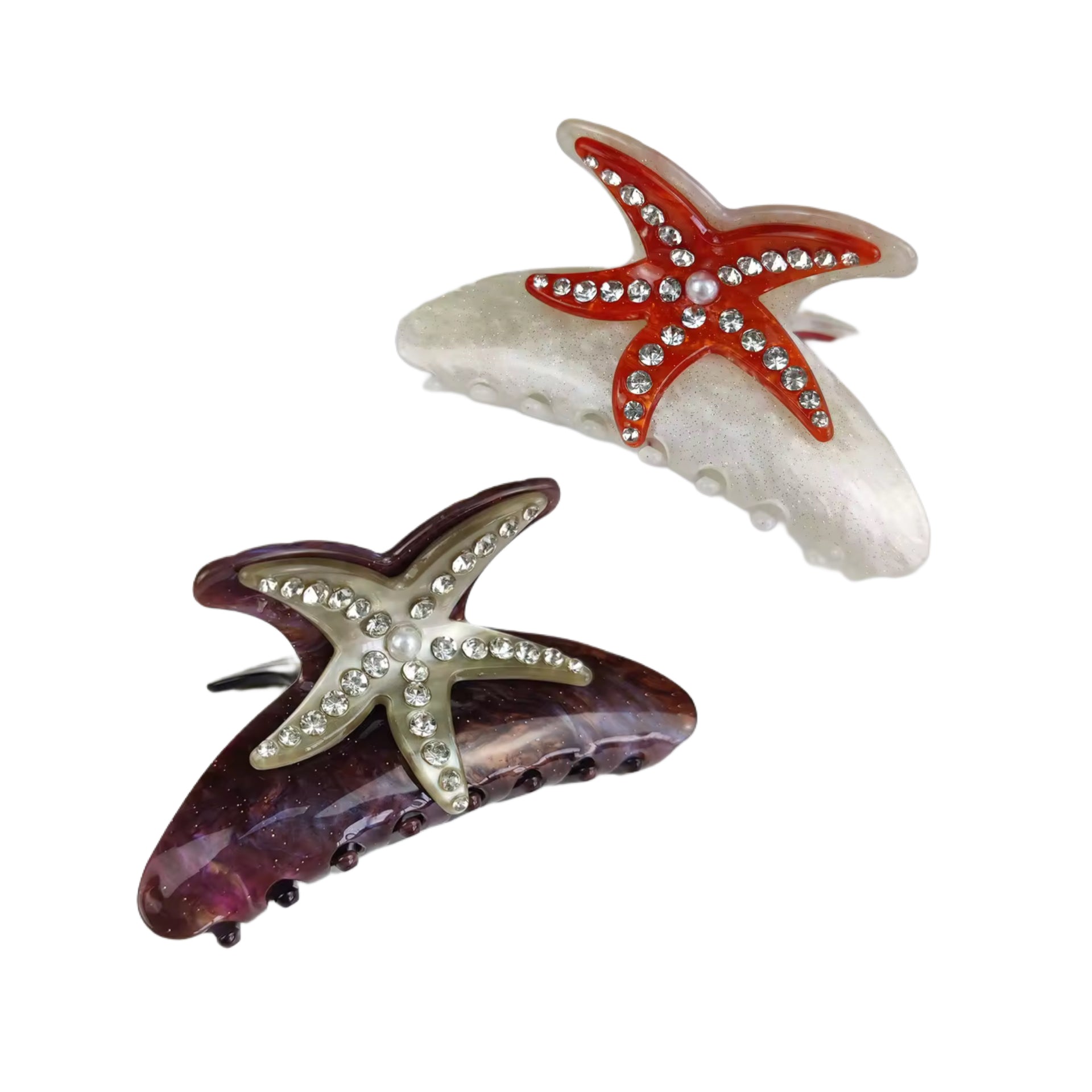 HAARKLAMMER STARFISH.